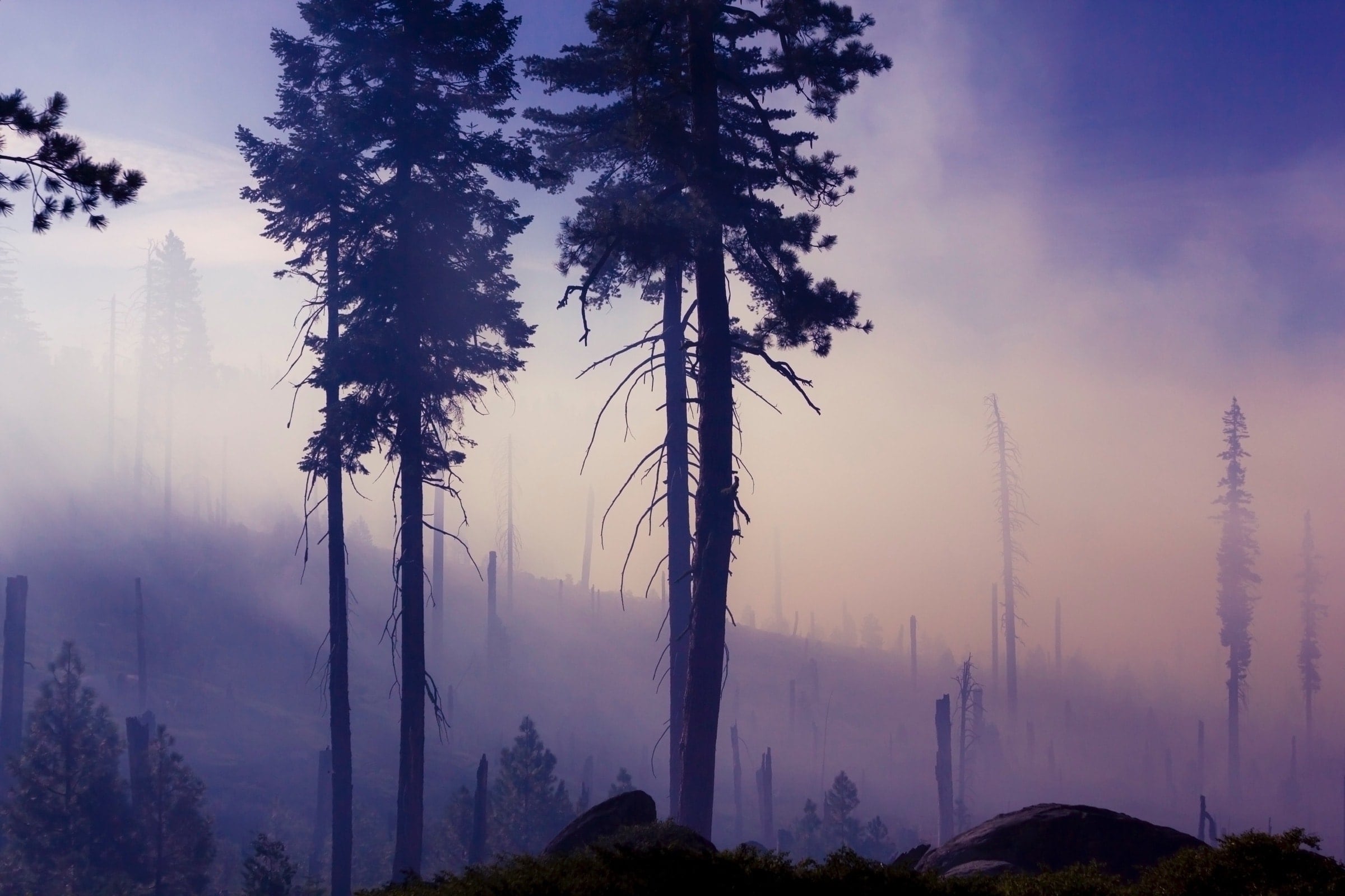 What is a burnout