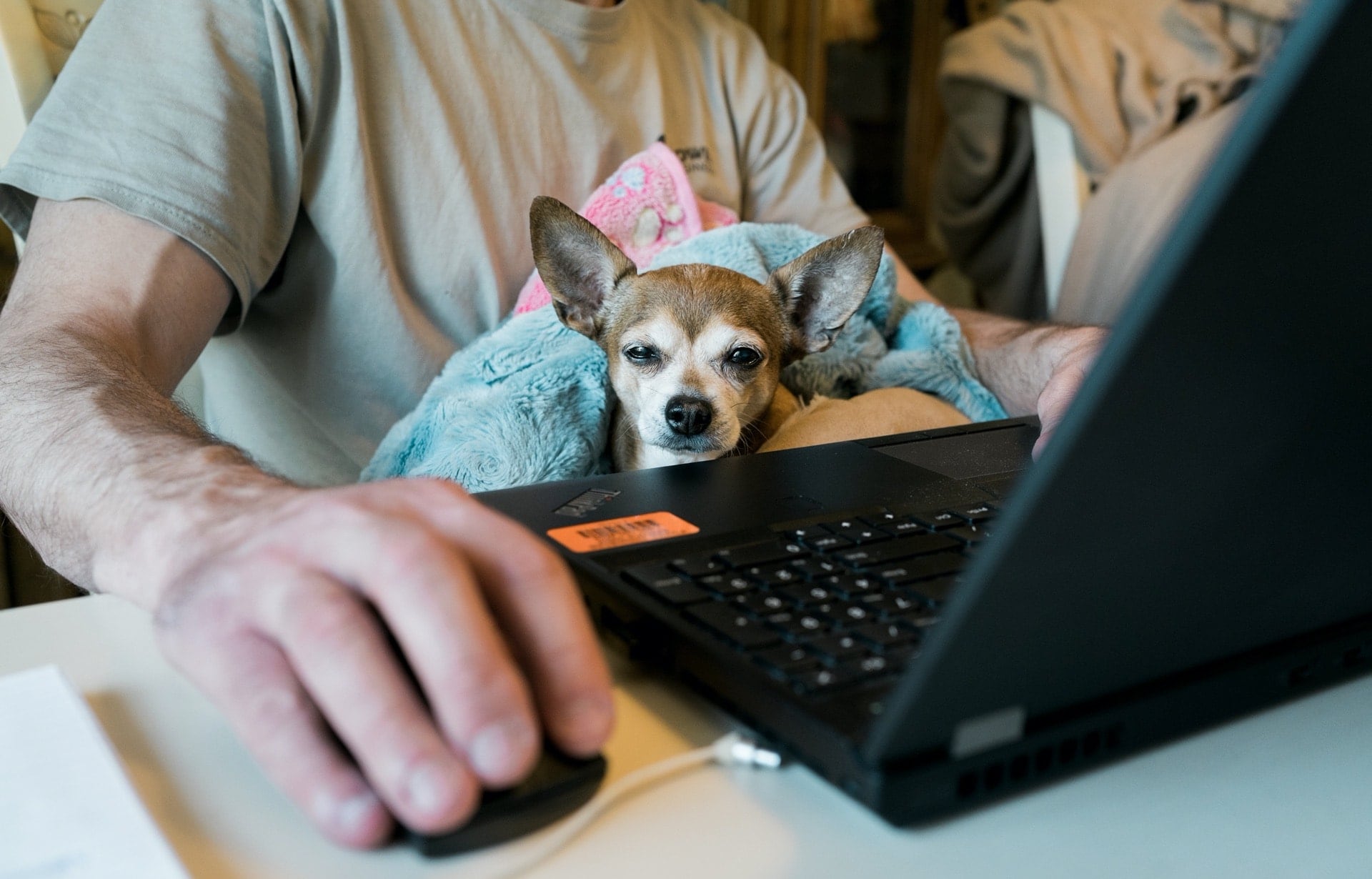 The Unexpected Remote Working with Slack - The Ultimate Guide